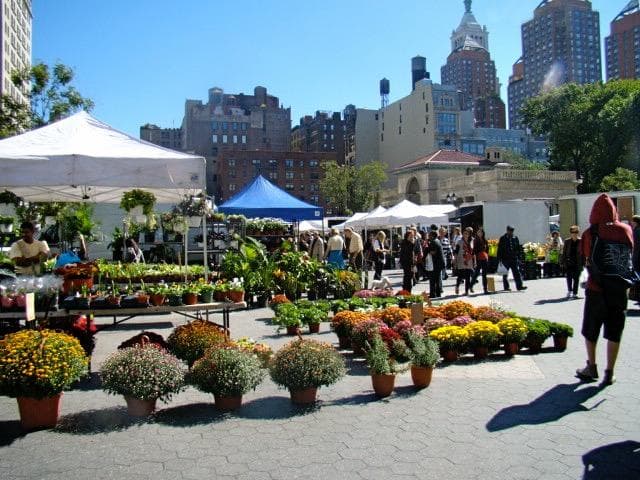 fleurs union square market