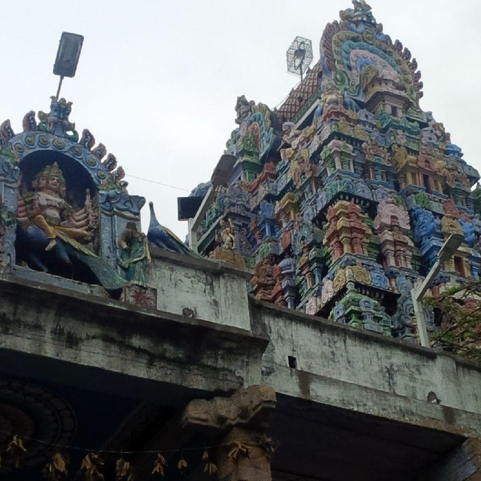 Gopuram view