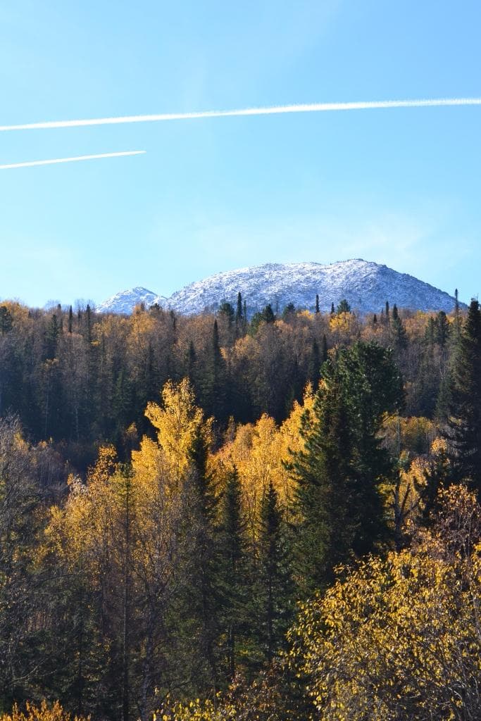 Buzuluksky Bor National Park