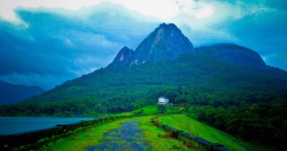 Nature On Morning...