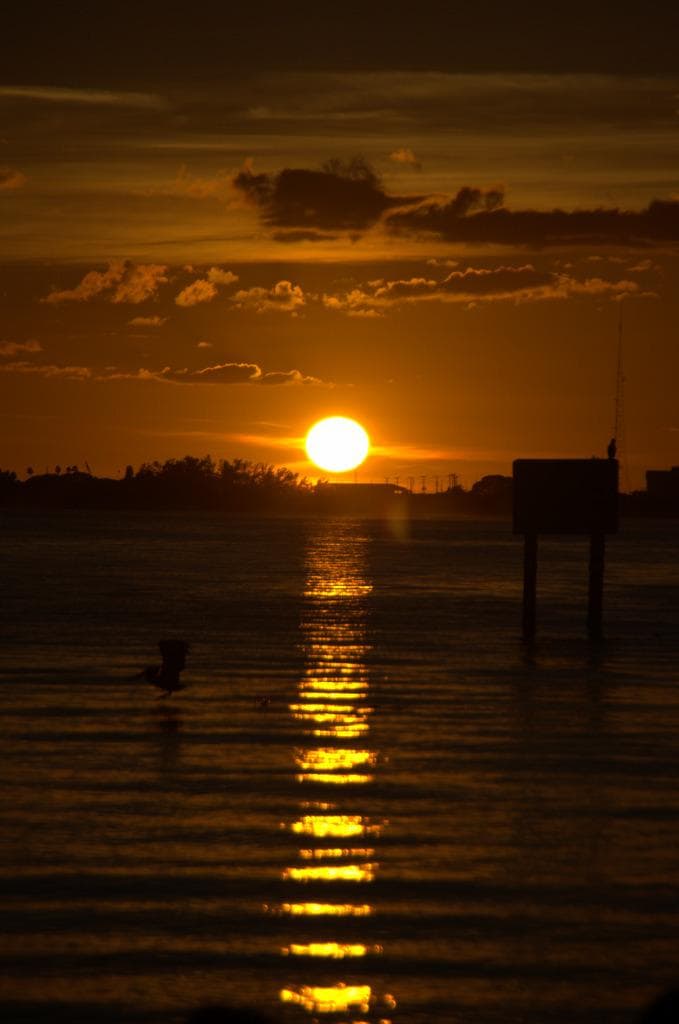 terrific sunset