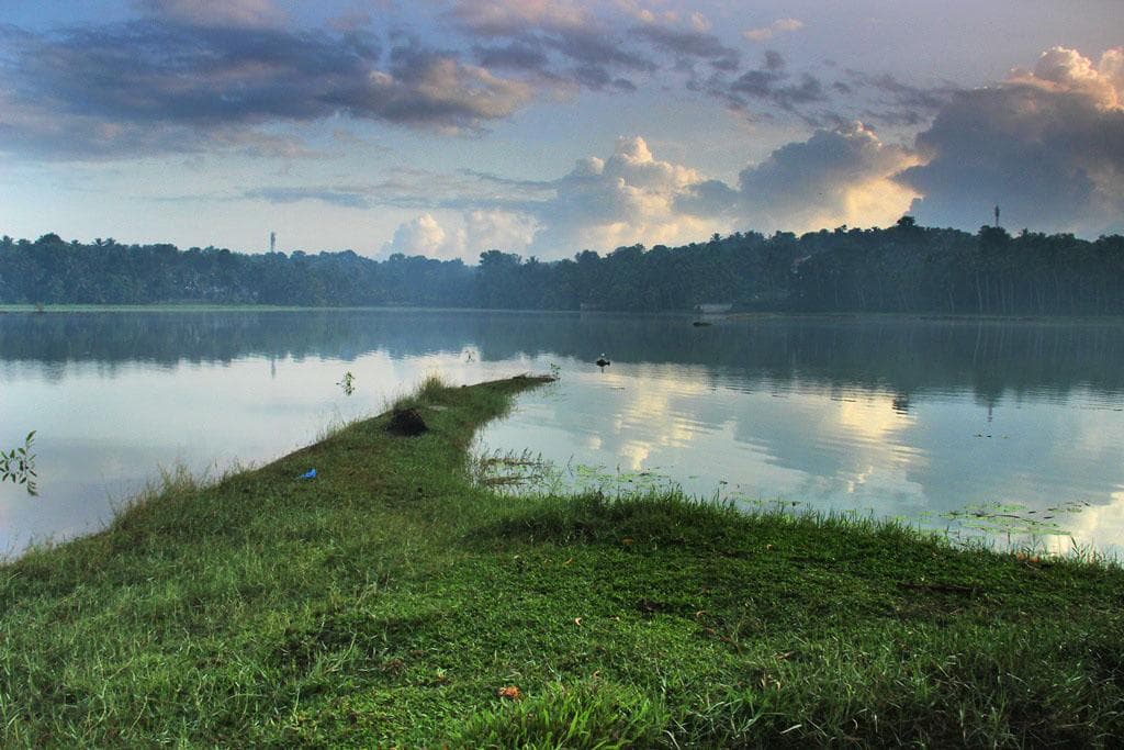 Vellayani Lake 4