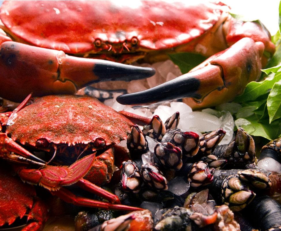 Mariscos frescos  de nuestras rias baixas  gall de los cuales hacemos nuestras POULARES MARISCAD