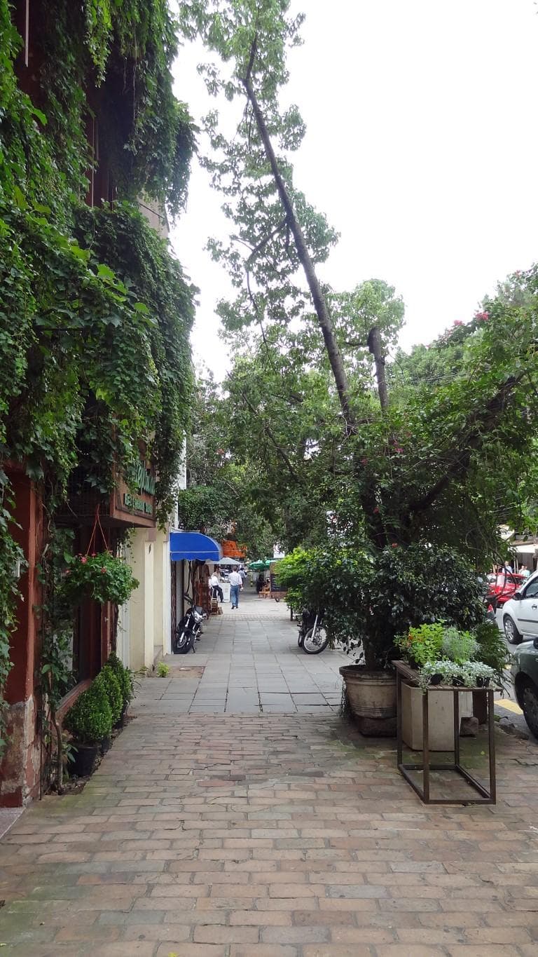 Rua Padre Chagas