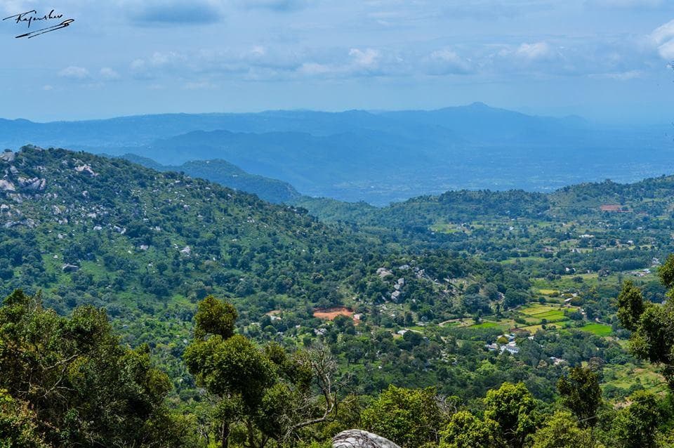 Yelagiri Hill Station