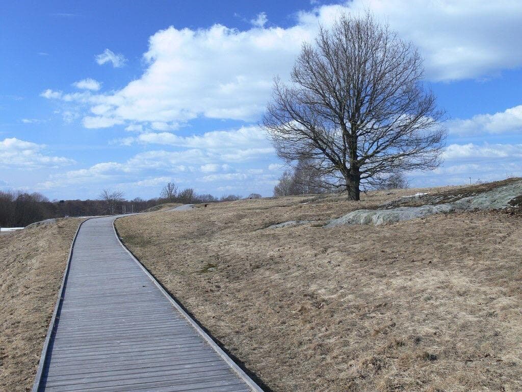 Himmelstalund rock carvings