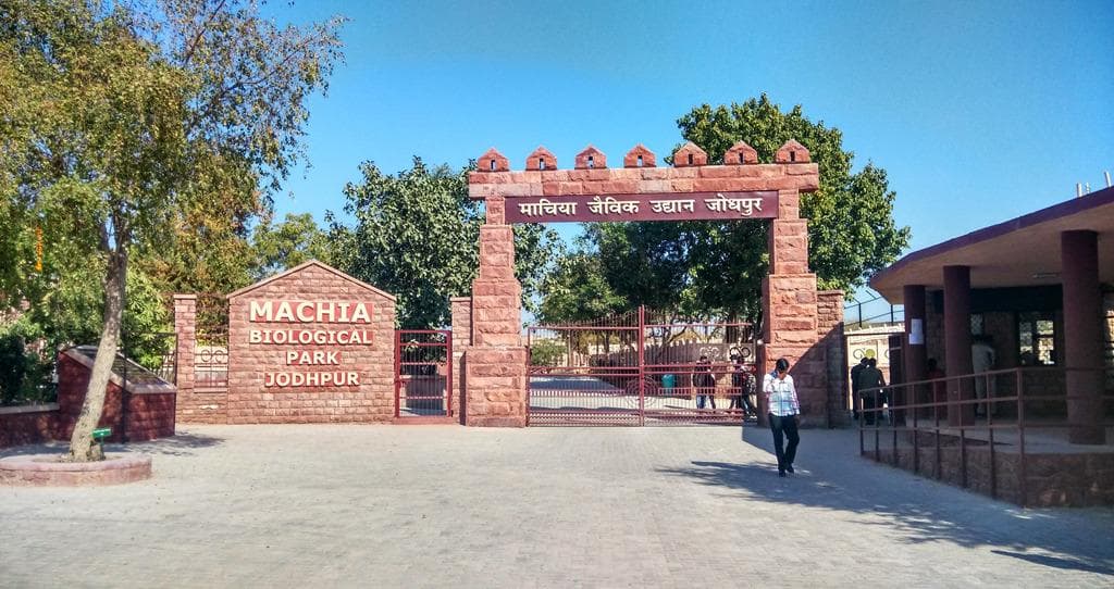 Entrance