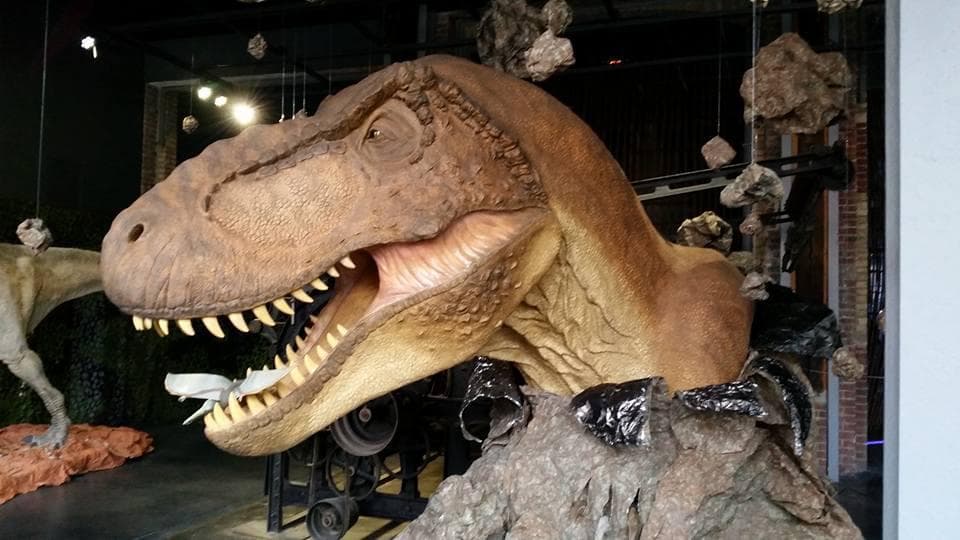 Dino