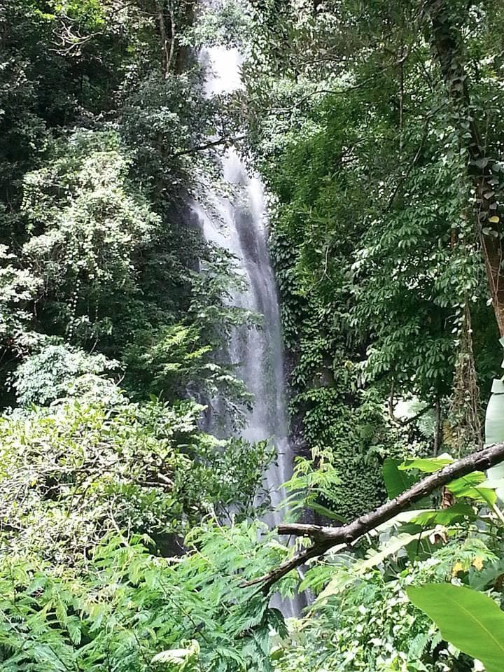 Pulang Tubi Falls in Patag Silay 