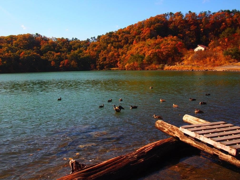 ボートにも乗れるようです