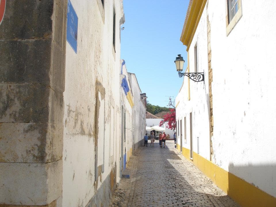 GALERIA TREM