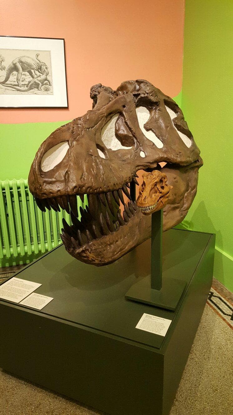 Everhart Museum Scranton