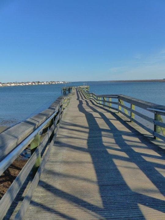 Norman J. Levy Park and Preserve