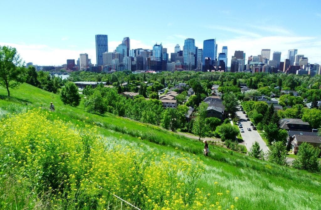 The part of Calgary from the hill just above the Prince's Island Park