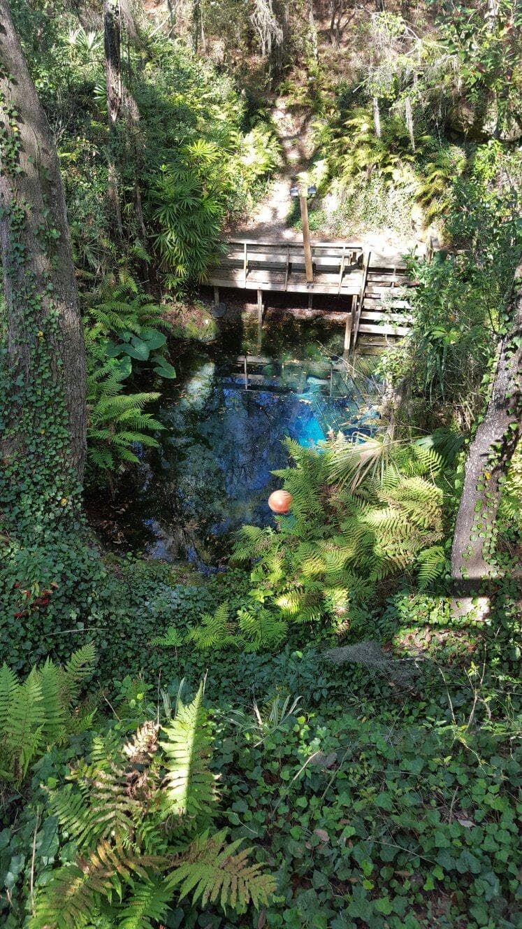 Paradise Springs