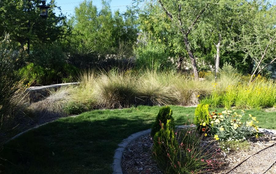 Inside the Desert Botanical Garden at Keystone