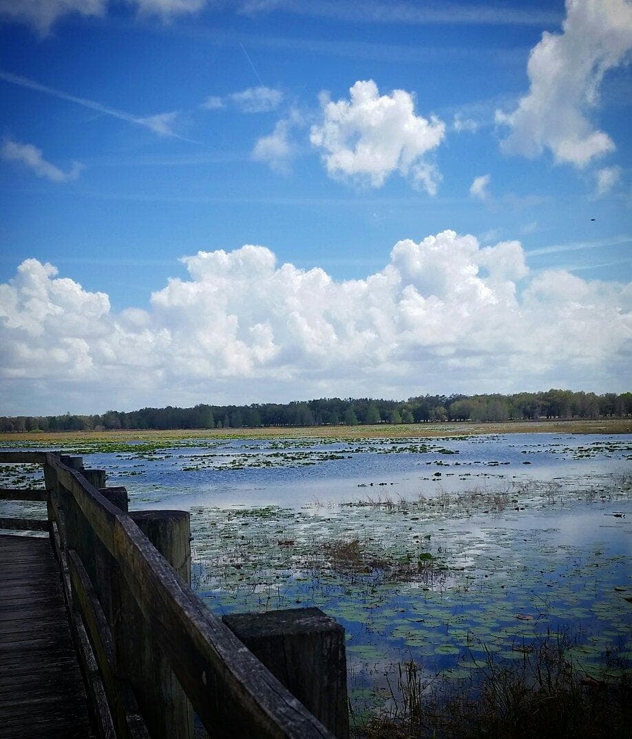 Crews Lake Wilderness Park