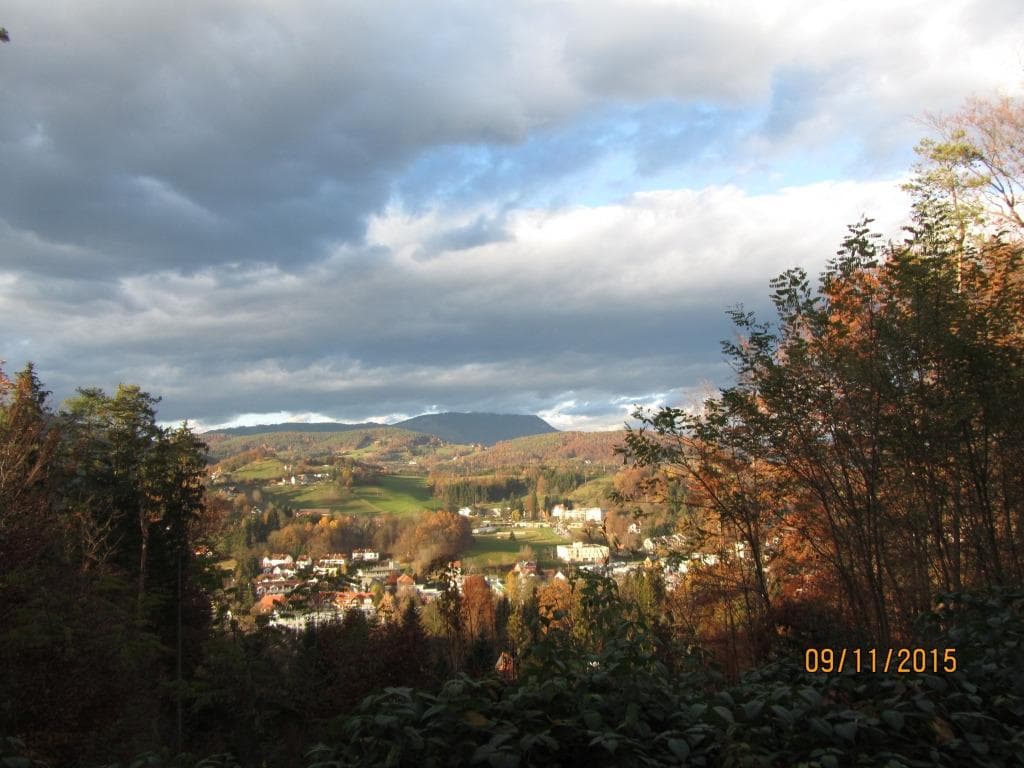 eine Lichtung mit Ausblick
