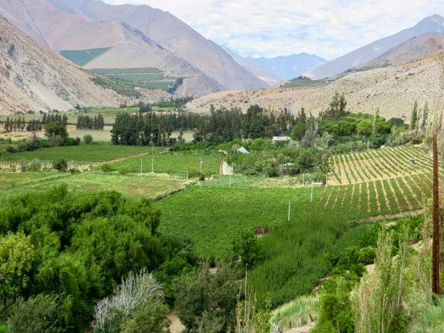 Cavas del Valle visit