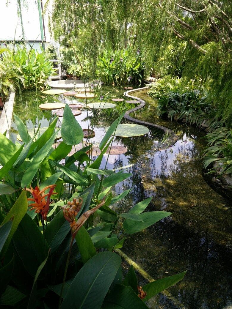 The Secret Garden Utama