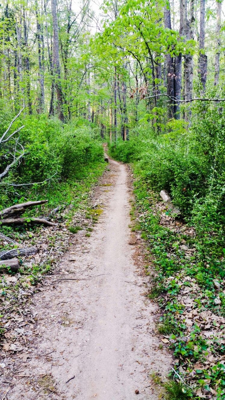 My trail run today