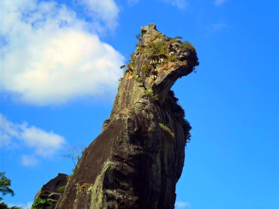 A PEDRA DO CAO SENTADO