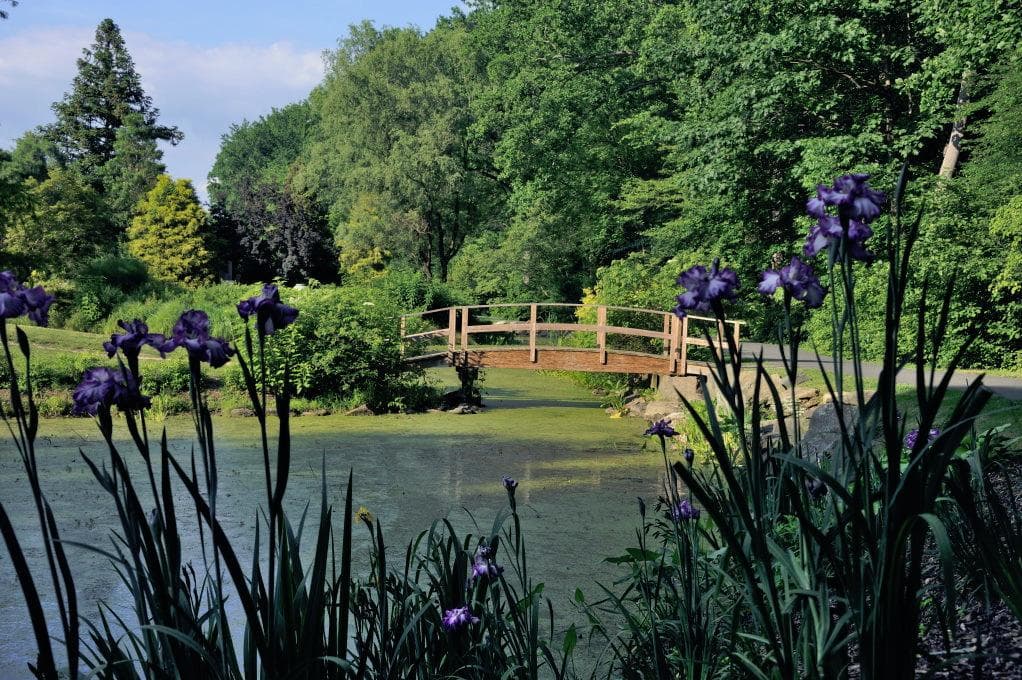 Walking path at Brockside Gardens