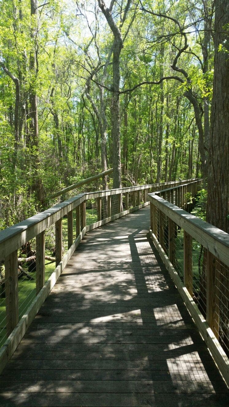 Conservation Park
