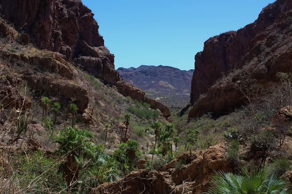 View of canyon