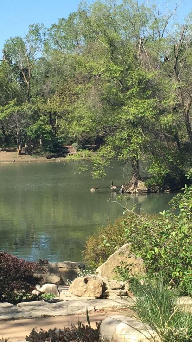 Dillon Nature Center