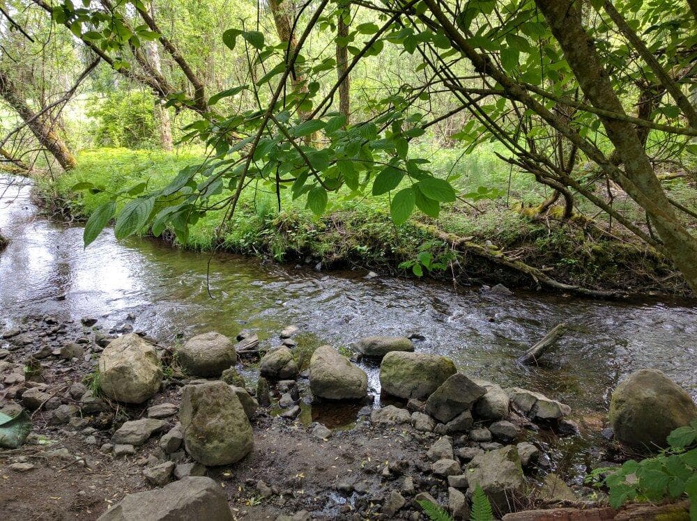 Kelsey Park