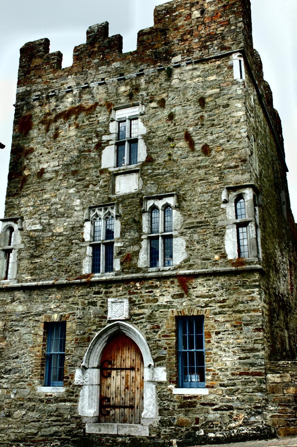 Desmond Castle