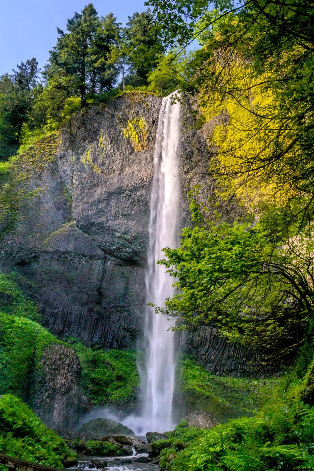 Latourell Falls on a spring morning.
