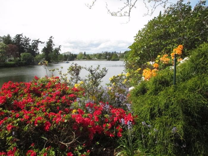 Floral View