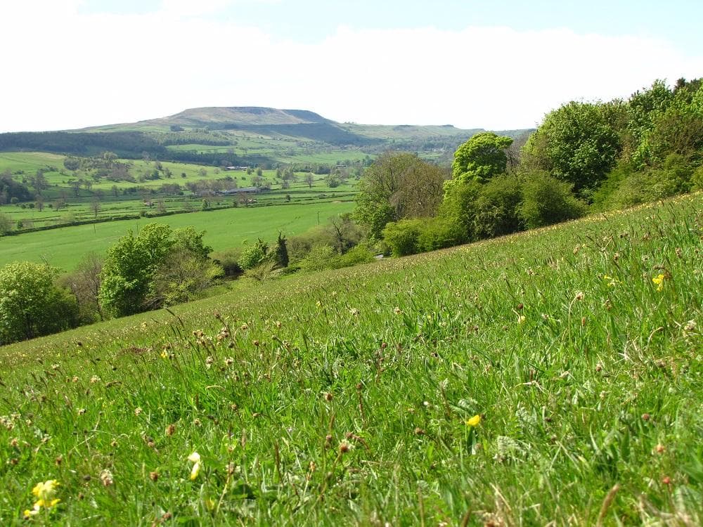 view across to Penhill