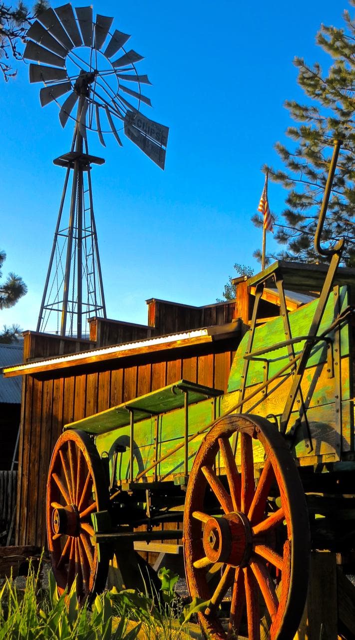 Wagon