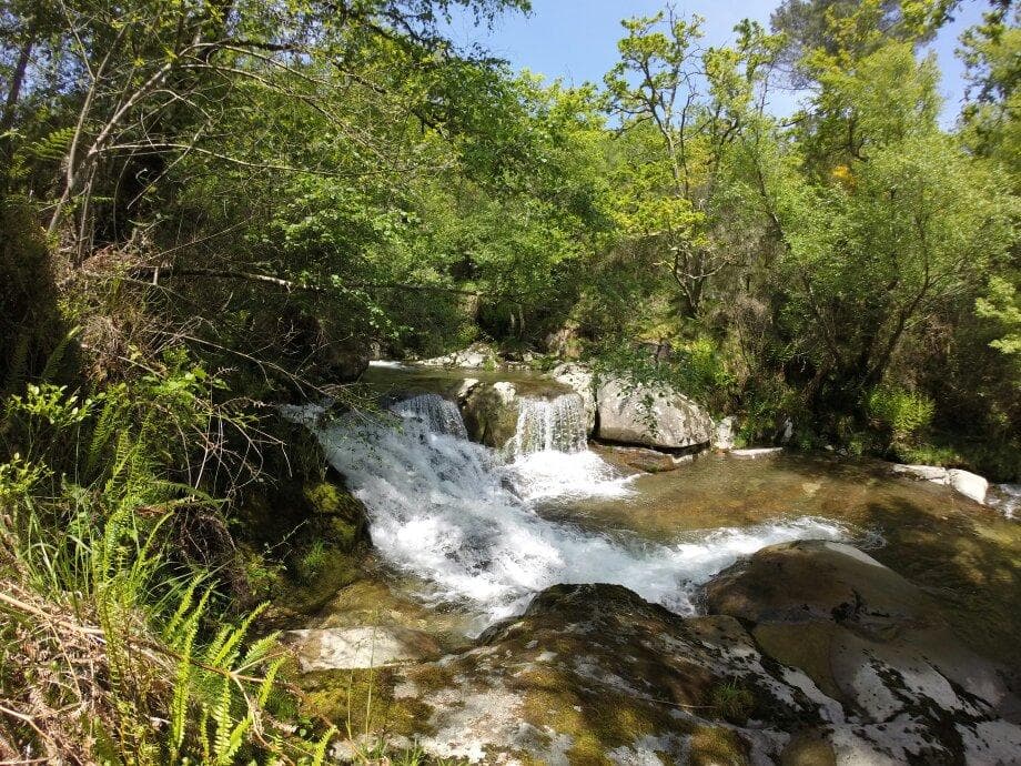 Naturaleza Extrema