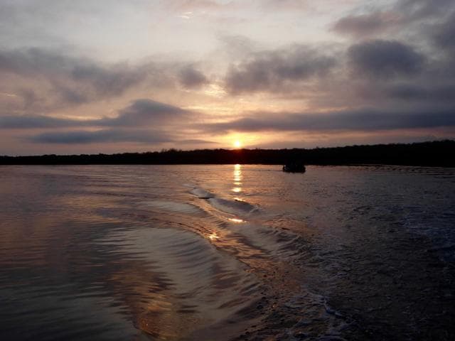 Black Turtle Cove