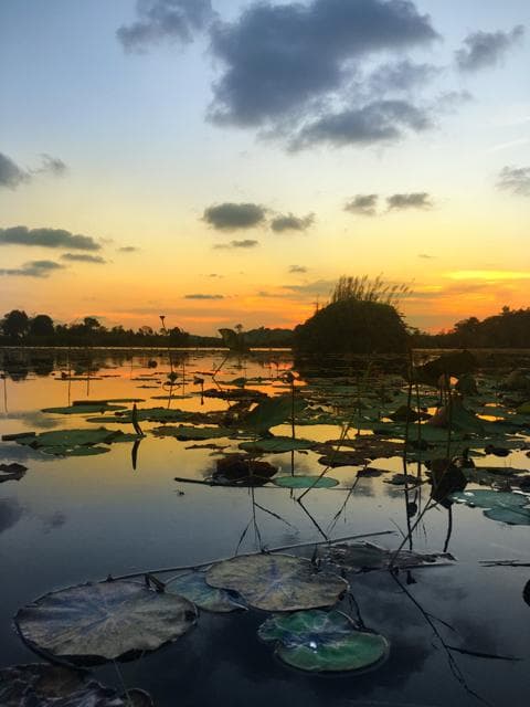 sunset