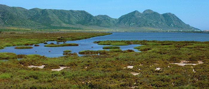 Las salinas