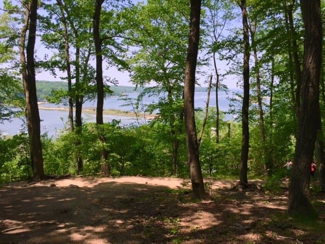 Cool off in the shade and take in the view of the harbor