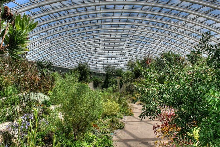 The Dome inside