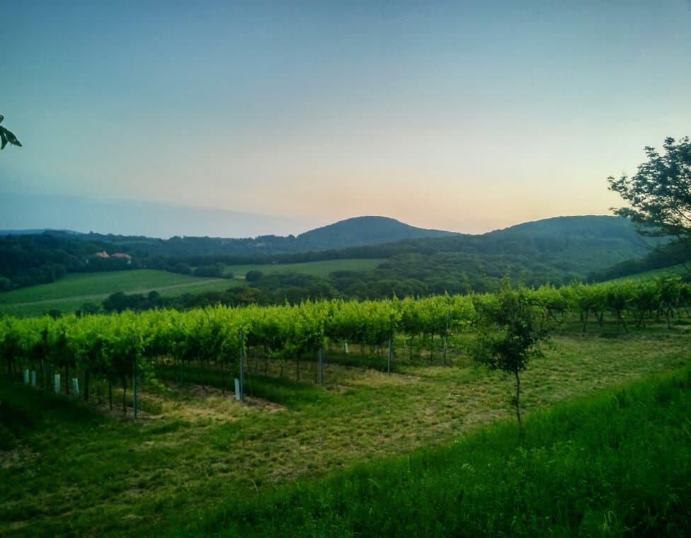 Kahlenberg Viewpoint