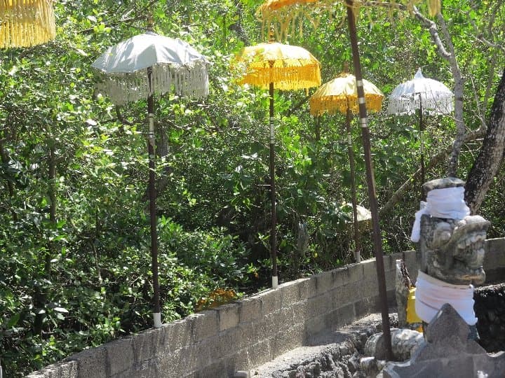 Pura Dalem Pengembak, edging onto the mangroves