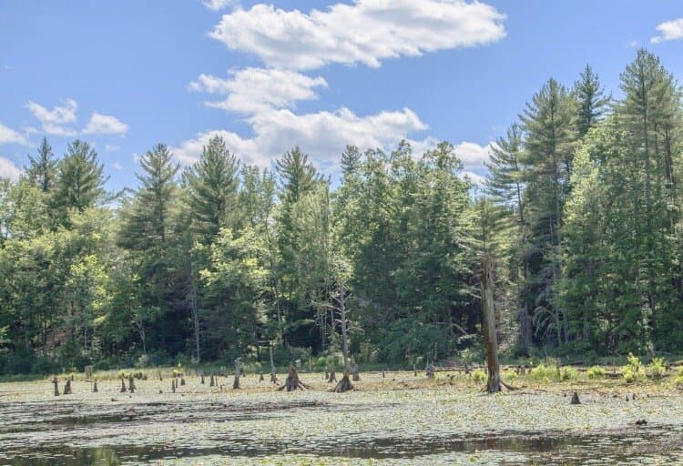 Beaver Brook Nature Center