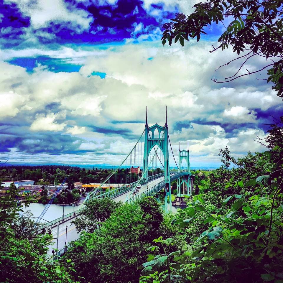 This view is from across the river, toward the park, so you can see the bridge over the park.