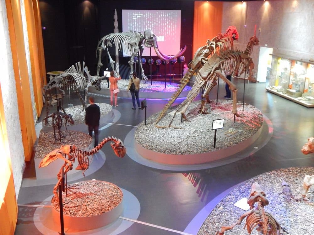 Музей пермских древностей