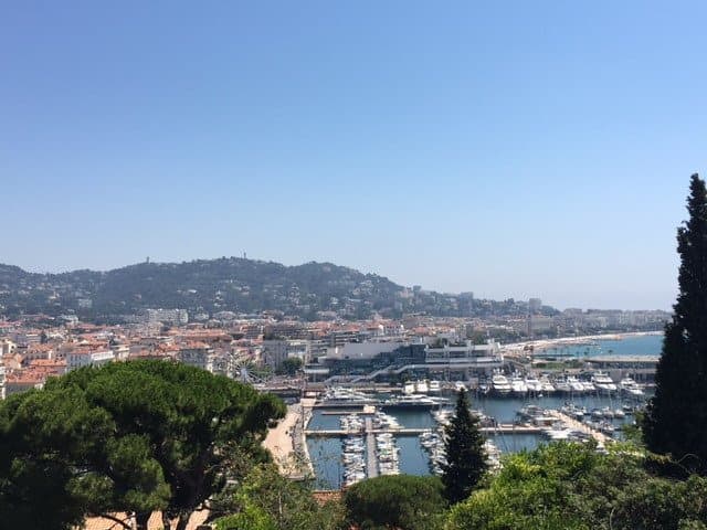 Great View