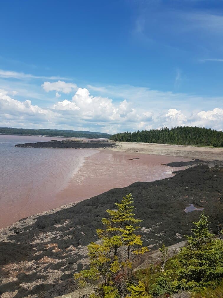 Irving Nature Park Saint John New Brunswick