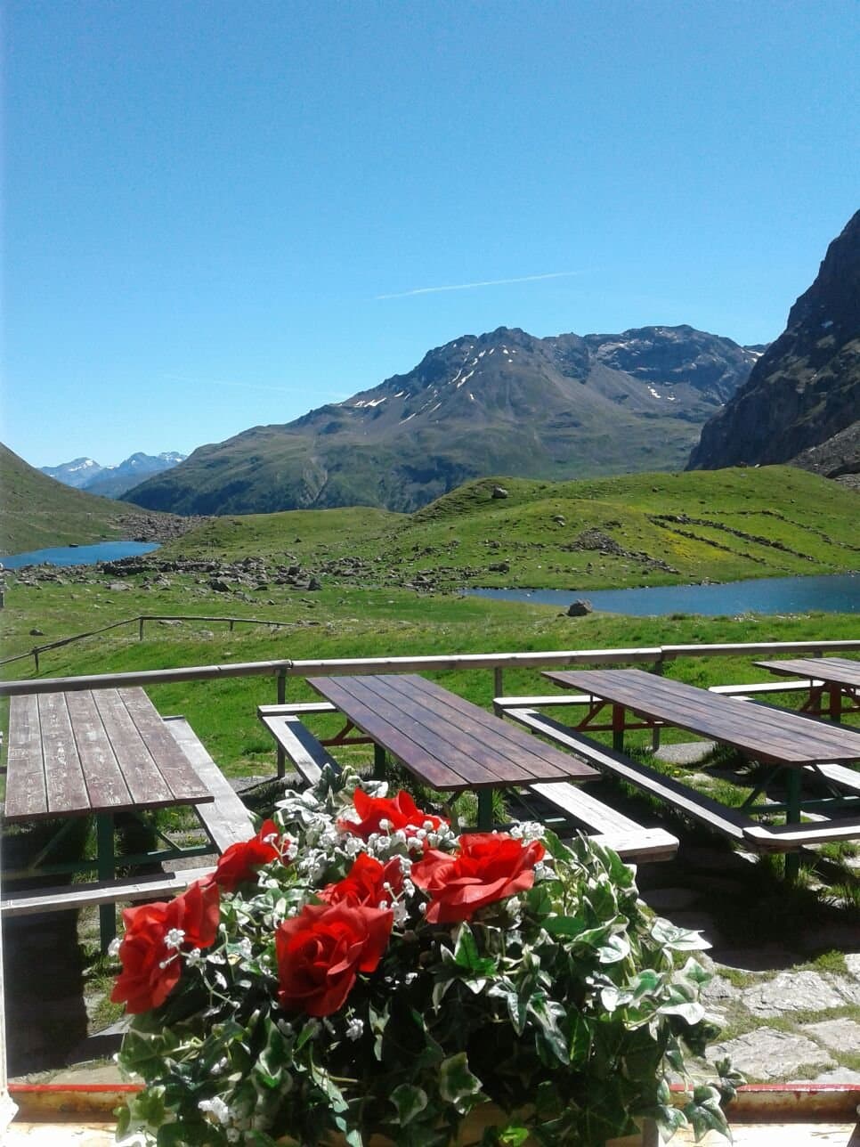 Vista dal Rifugio Viola in una giornata di agosto
